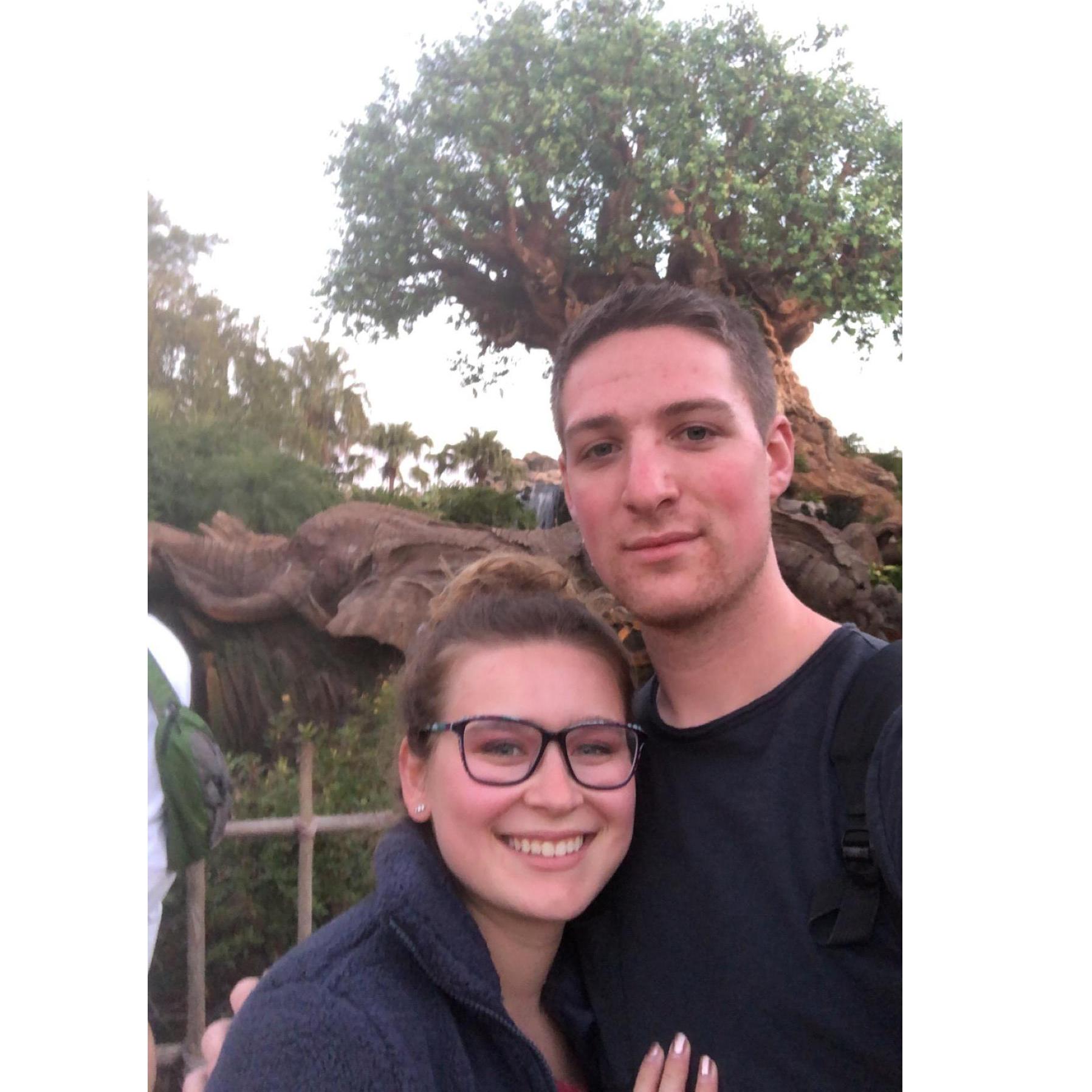 Disney World January 2019