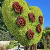 Atlanta Botanical Garden