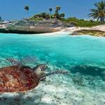 Akumal Beach