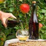 Newtopia Cyder