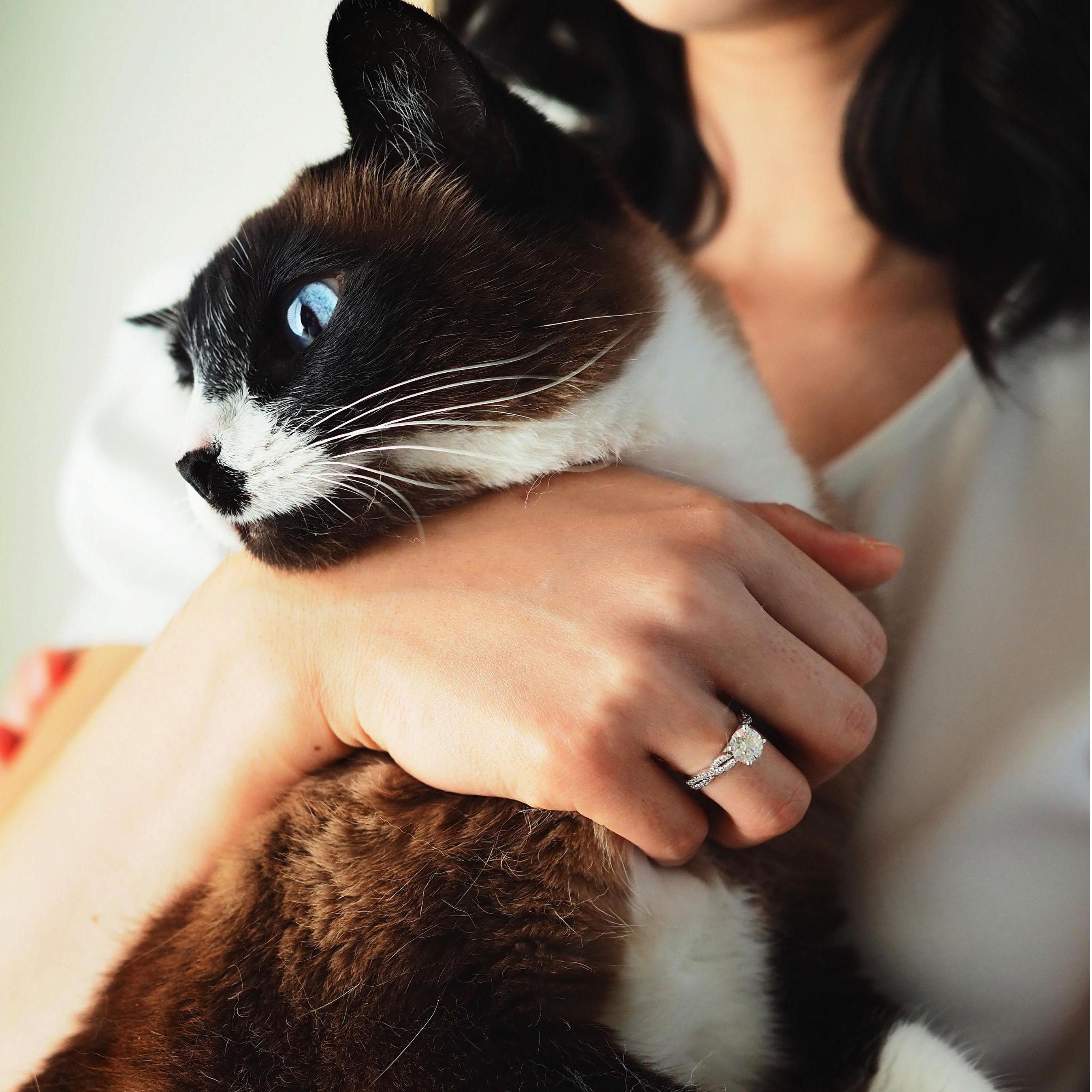 We adore our cat Nami!