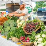 Holland Farmers Market