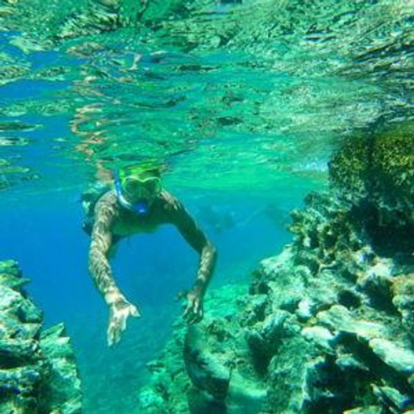 Boat Tour and Snorkeling