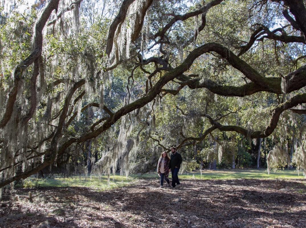 The Wedding Website of Emily Primm and Michael Carbone