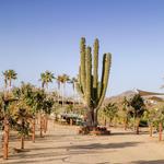 El Huerto Farm to Table