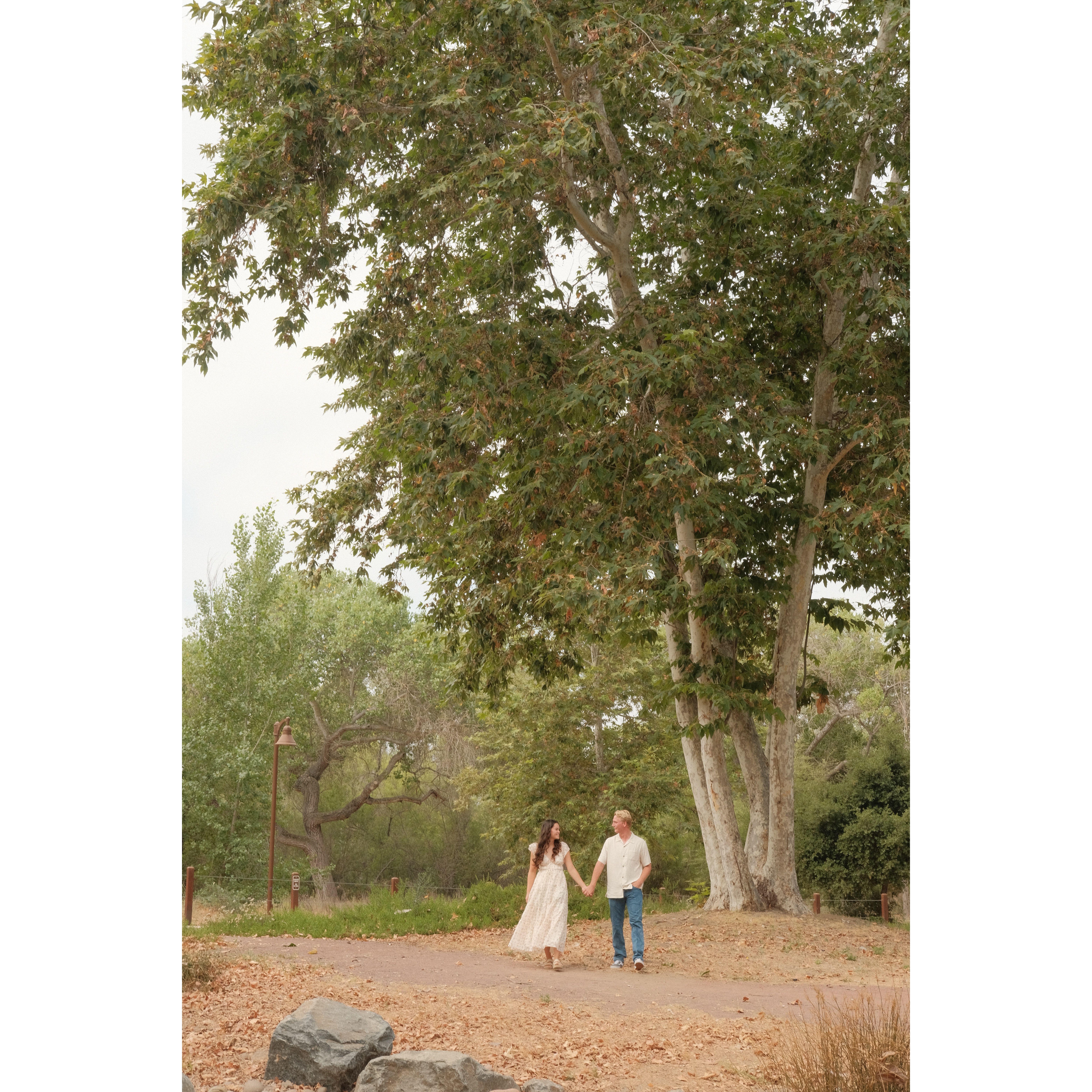 We both love sycamore trees, so we had to get this shot!