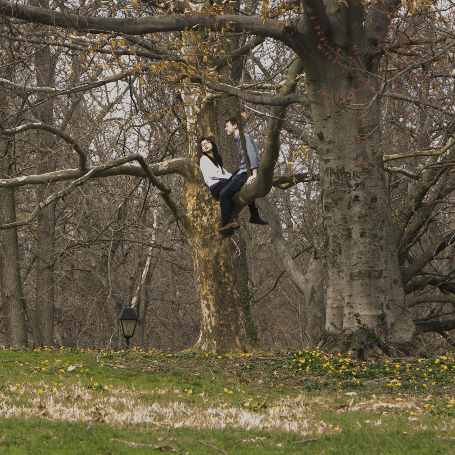 Another old photo of us from shortly before we started dating. This started as a photography assignment and ended with us sitting in a tree. (photo cred: Ben Weatherhead)