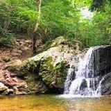 Patapsco Valley State Park - Avalon Area