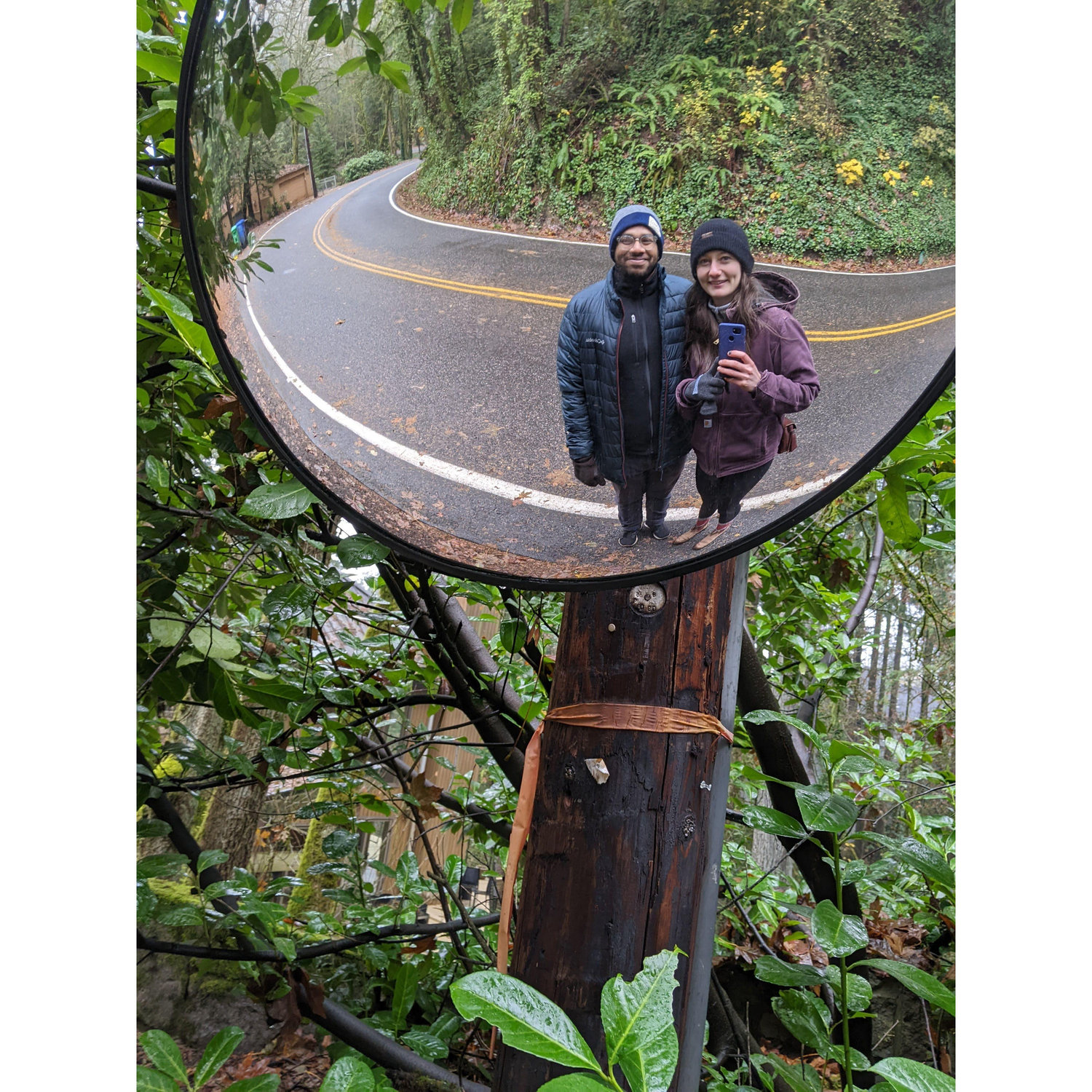 Rainy fall walks on Fairmount