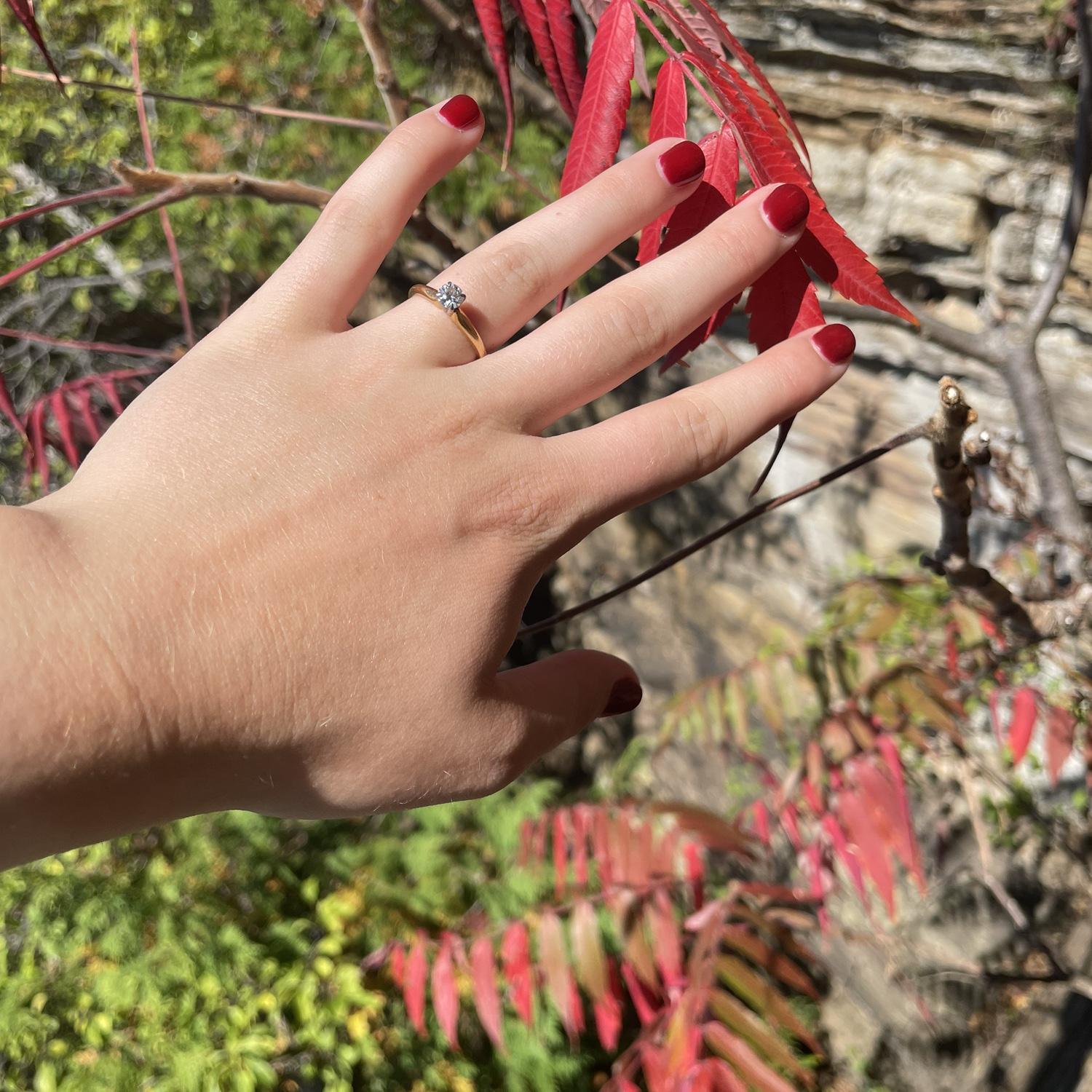Engaged next to a staghorn sumac!