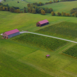 Talon Winery & Vineyards
