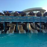Thundering Surf Waterpark