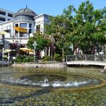The Grove