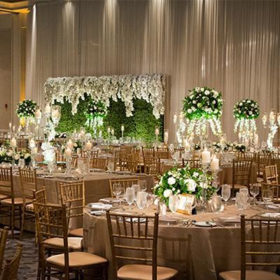 The Wedding Website of Damani Tryon and Tyler Roberts