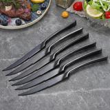 Stainless Steel Luxury Steak Knives Matte Sharp Dinnerware - 6pcs