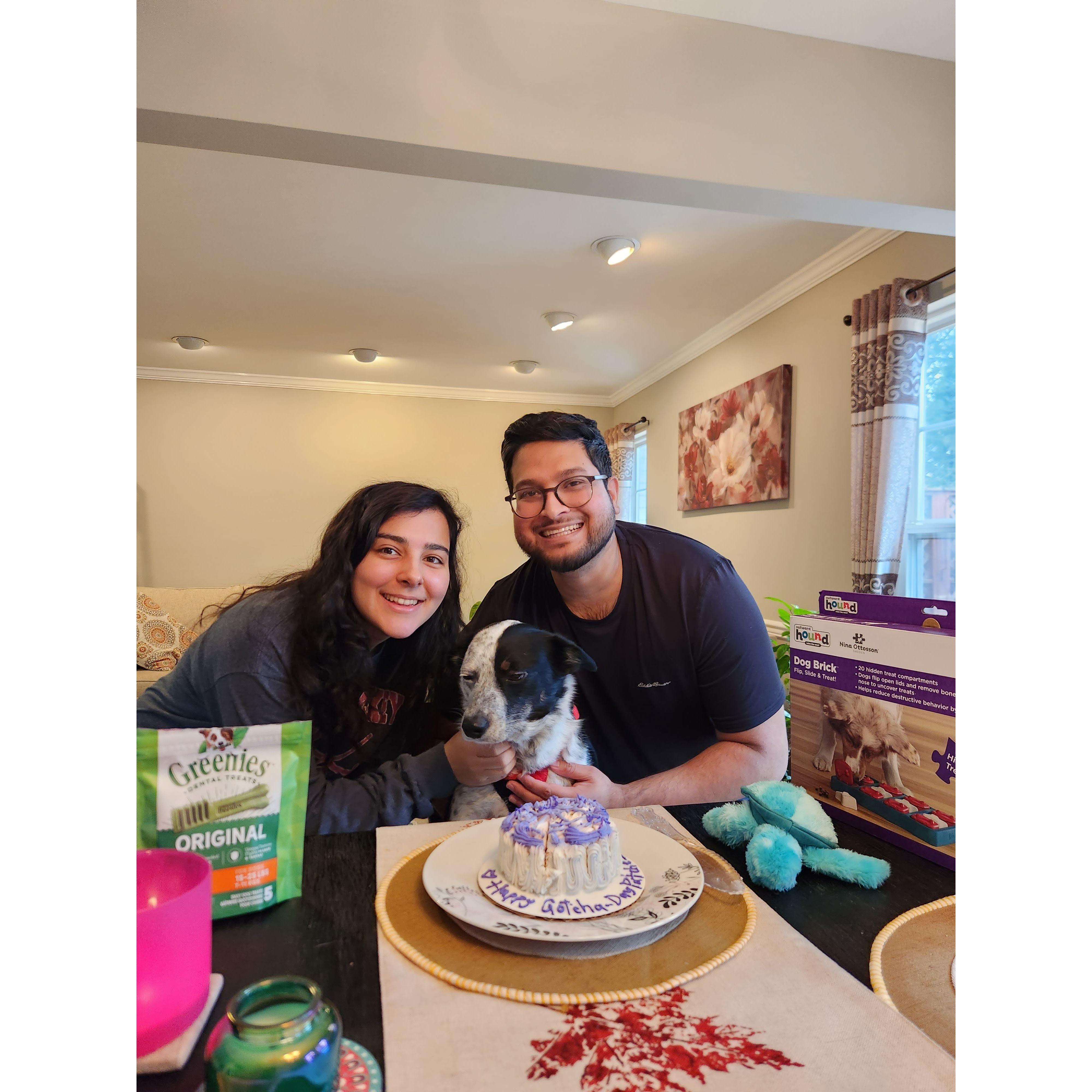 Patches 1st Gotcha Day!