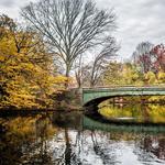 Prospect Park South