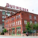 Budweiser