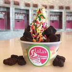 Lulu's Frozen Yogurt