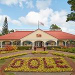 Dole Plantation