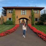 Black Walnut Inn & Vineyard