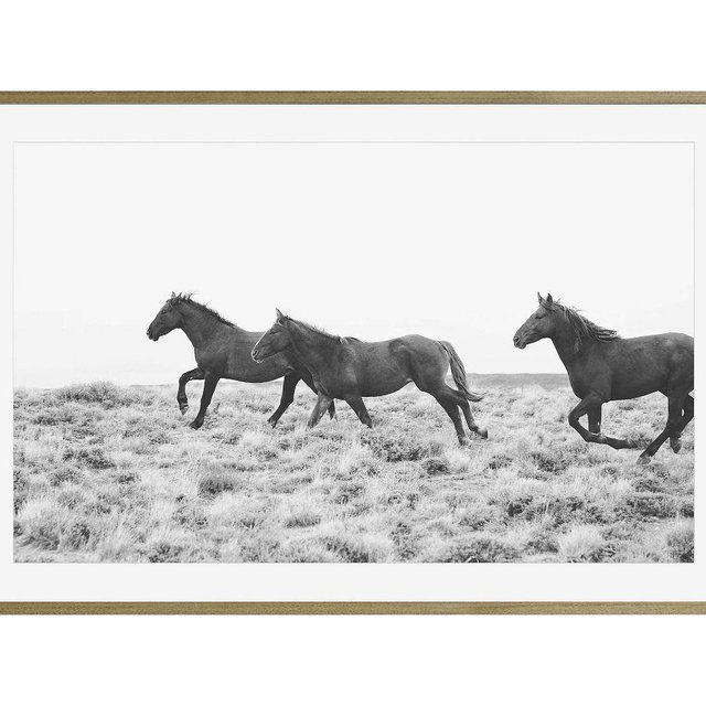 American Wild Horses By Jennifer Meyers, 42 x 28, Wood Gallery, Graywash, Mat
