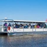 Dolphin Tours of Jekyll Island