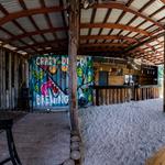 Crazy Dingo Brewing Company