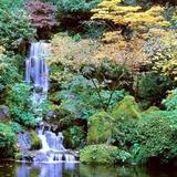 Portland Japanese Garden