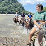 Horseback Riding: Tequila Tasting, Mex BBQ & Margaritas