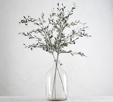 Olive Branch