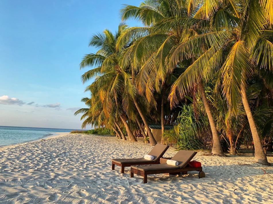 721ea6ca-135a-4b2d-933e-92d11cc19d33