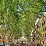 Passeig del Born