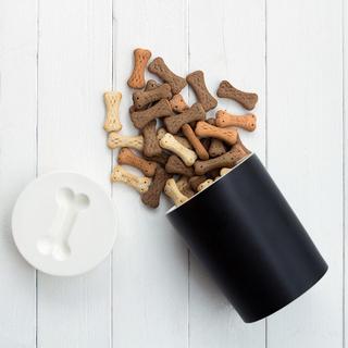 Pet Treat Jar