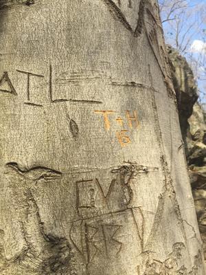 The Wedding Website of Hailey Budoff and Tyler Michaux