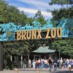 Bronx Zoo