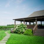 Macari Vineyards