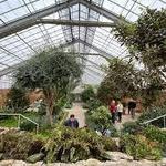 Matthaei Botanical Gardens