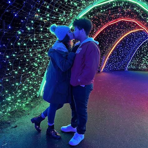 Zoo Lights, December 2021