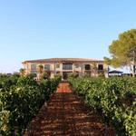 Wine Tasting and Wine Tour