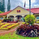 Roundtrip Shuttle From Waikiki to Dole Plantation & Haleiwa Town
