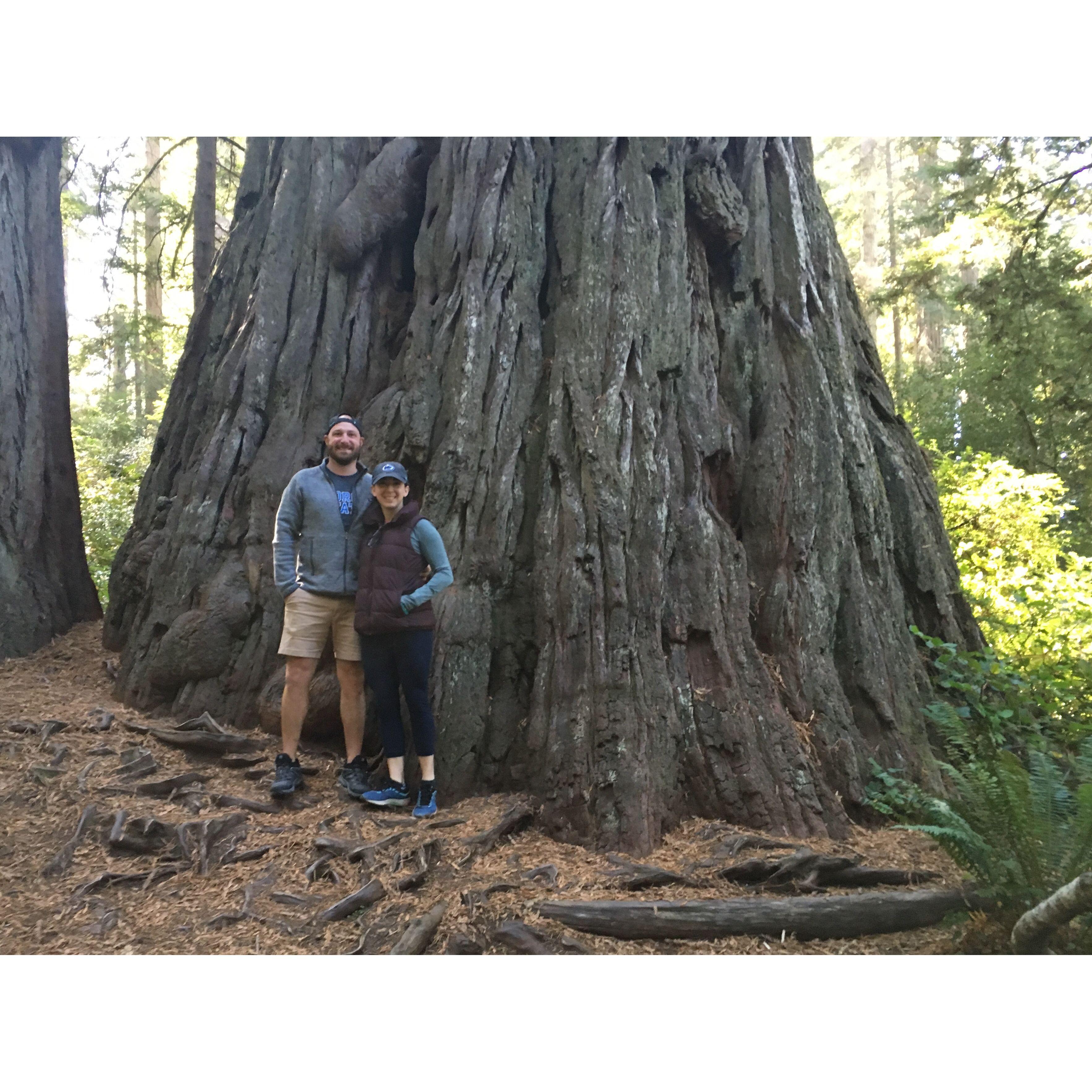 Northern CA roadtrip