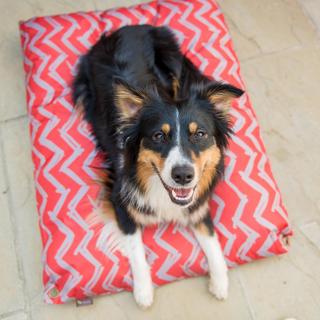 Chevron Outdoor Pet Bed