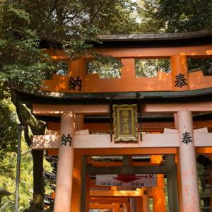Our Japan Honeymoon