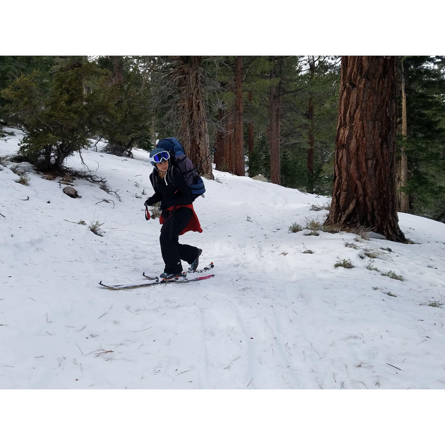 Mt Dana backcountry ski trip