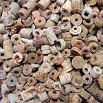 Moores Creek Hike on the Farm