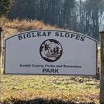 Bigleaf Slopes Park