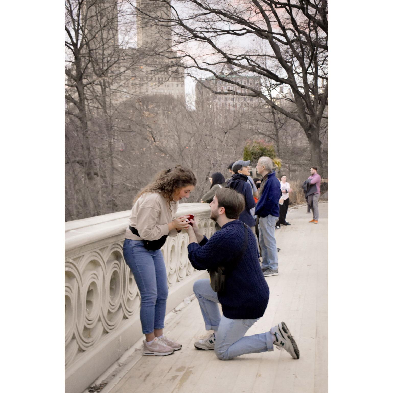 Our proposal at Central Park in New York City!!