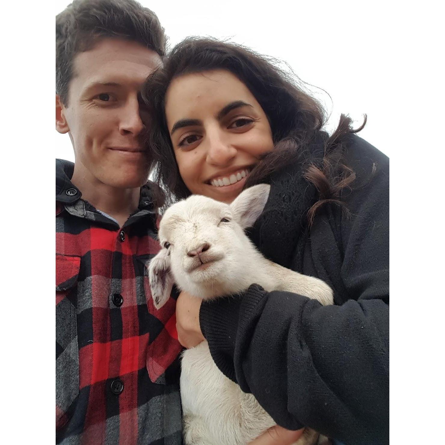 Valle de Guadalupe, MX. December 2016.
Farm stop during a wine tasting day trip in Mexico with Melissa's family. We named this little guy Javier :)