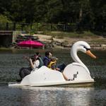 Wheel Fun Rentals | Humboldt Park